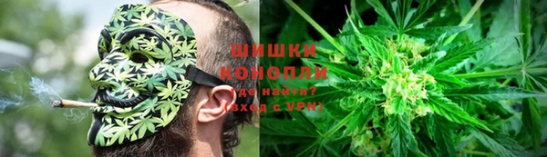 apvp Медногорск